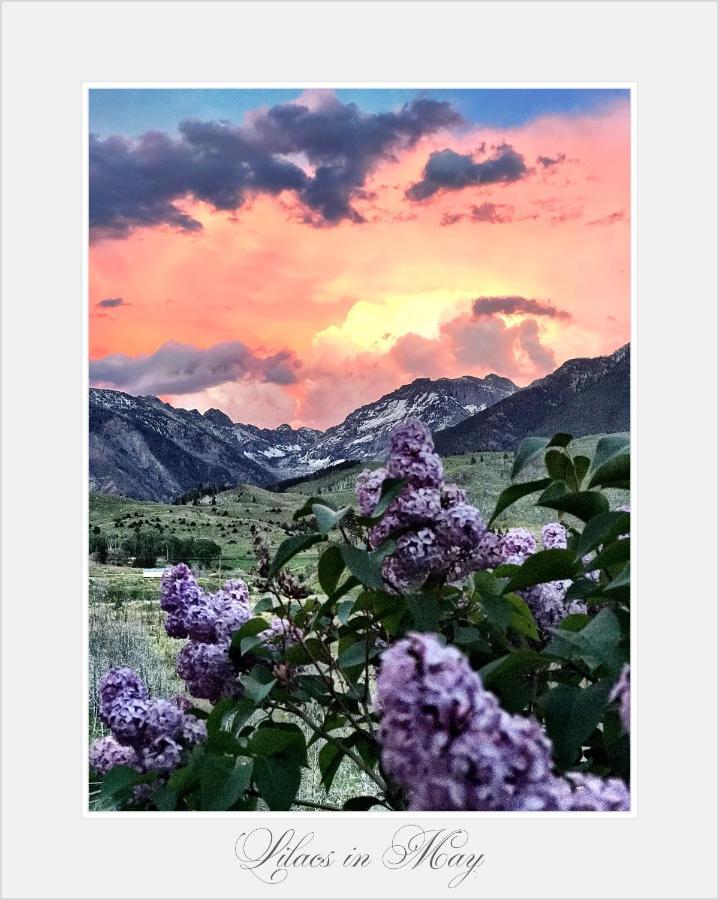 Pine Creek Cabin Livingston Montana Εξωτερικό φωτογραφία