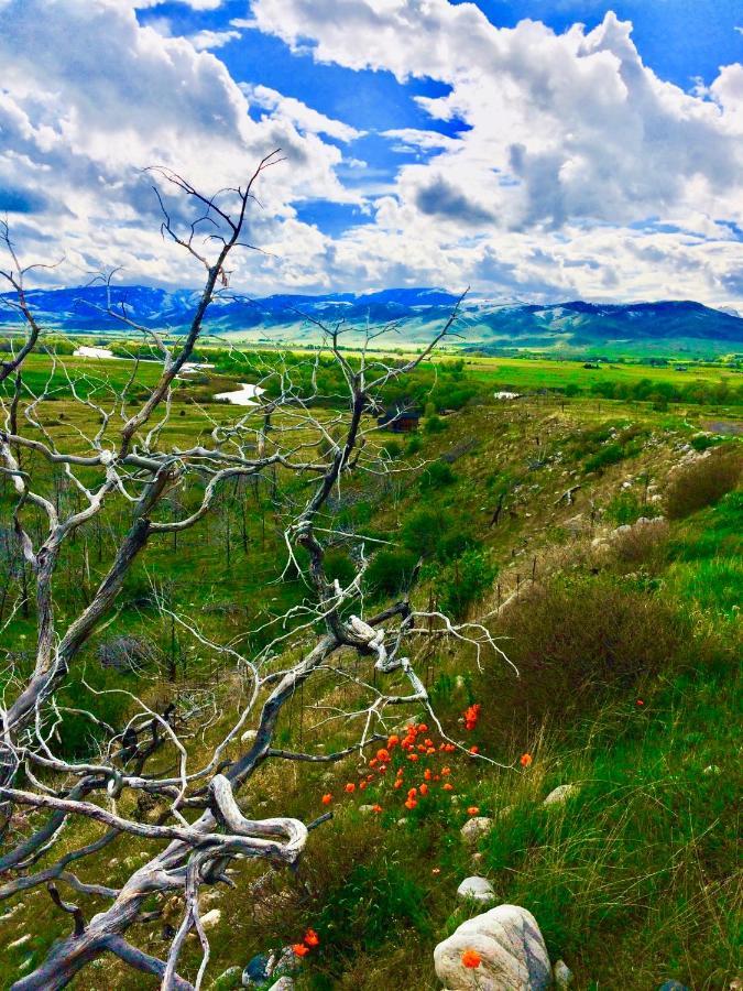 Pine Creek Cabin Livingston Montana Εξωτερικό φωτογραφία