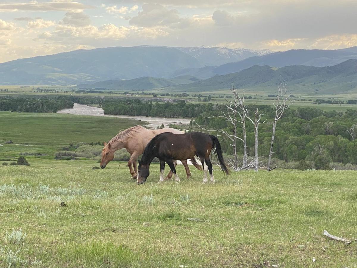Pine Creek Cabin Livingston Montana Εξωτερικό φωτογραφία
