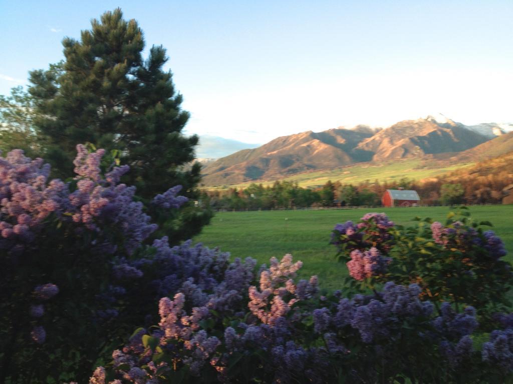 Pine Creek Cabin Livingston Montana Εξωτερικό φωτογραφία