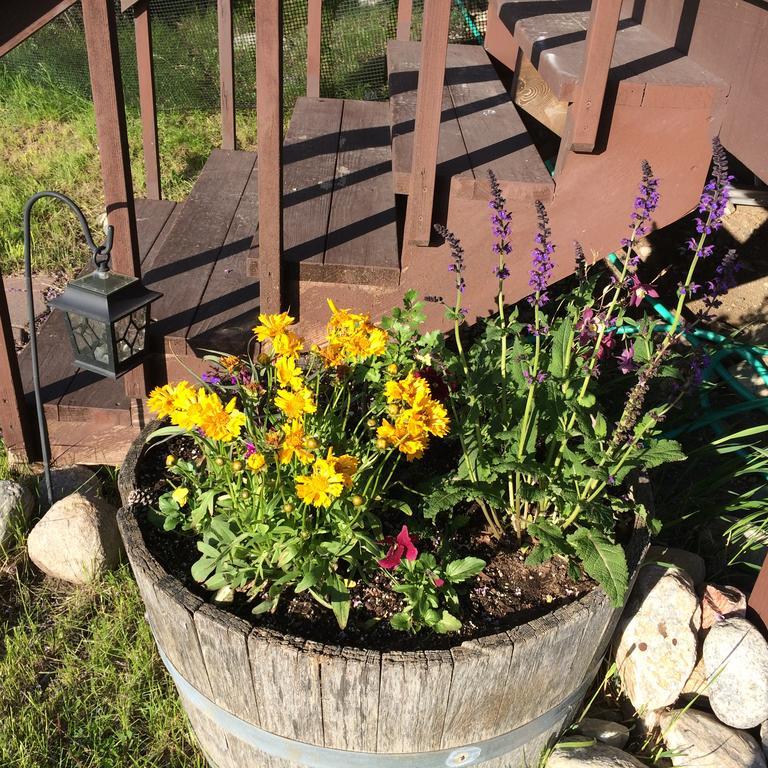Pine Creek Cabin Livingston Montana Εξωτερικό φωτογραφία