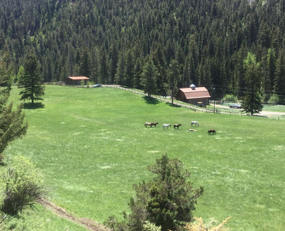 Pine Creek Cabin Livingston Montana Εξωτερικό φωτογραφία